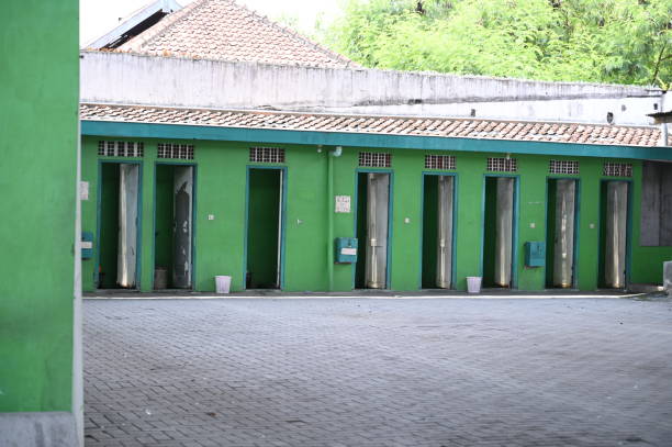 Best Local porta potty services  in Cedville, AR